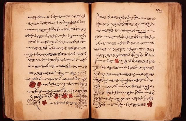 Tracing Back Rose&nbsp;Symbolism