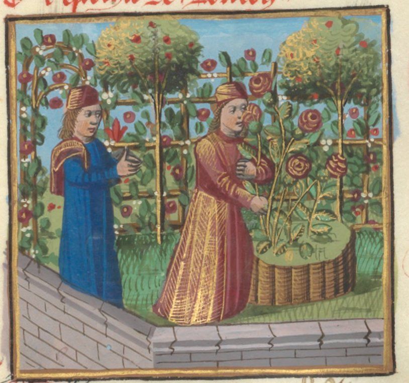 The Symbol of the Rose in The Middle&nbsp;Ages